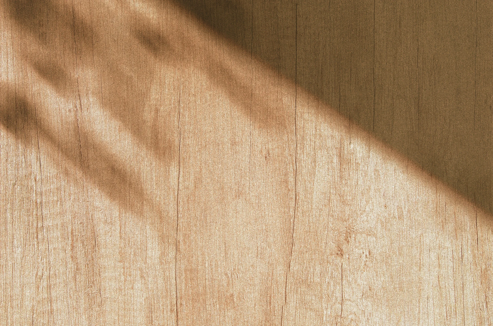 The natural grain and warm texture of wood